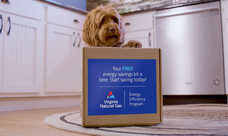 Cute little doggie and a kit box